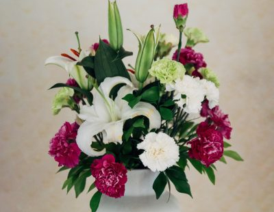 haydn-golden-LfT2t-E08kw-unsplash haydn-golden-LfT2t-E08kw-unsplash